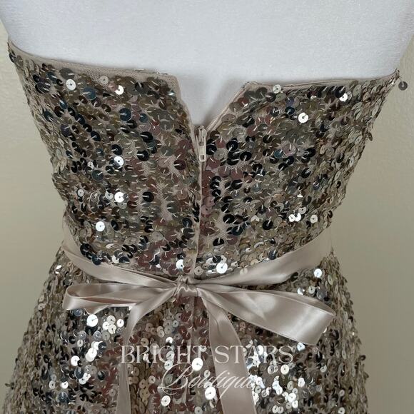 Rare Sequin Midi Dress ASO Taylor Swift 2007 CMT Awards Strapless Embellished - Picture 10 of 10